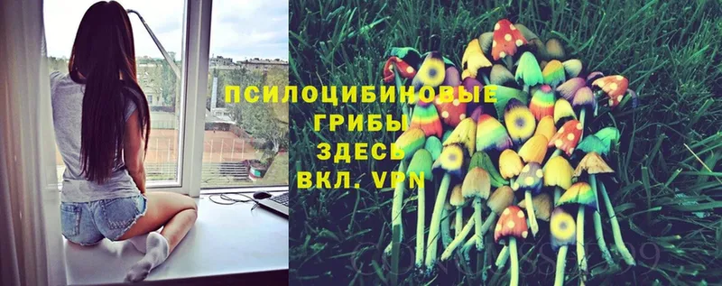 Галлюциногенные грибы MAGIC MUSHROOMS  Котельнич 